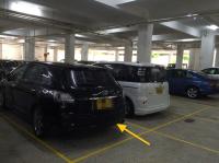  Tai Wai Carpark  Chui Tin Street  Golden Lion Garden Phase 1 parking space photo 香港車位.com ParkingHK.com