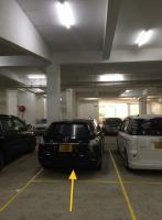  Tai Wai Carpark  Chui Tin Street  Golden Lion Garden Phase 1 parking space photo 香港車位.com ParkingHK.com
