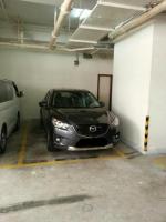  Yuen Long Carpark  Fung Cheung Road  Villa Premiere  parking space photo 香港車位.com ParkingHK.com