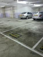  Sha Tin Carpark  Siu Lek Yuen Road  Castello  parking space photo 香港車位.com ParkingHK.com