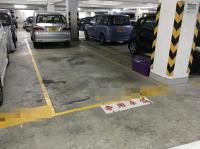  Tseung Kwan O Carpark  Yuk Nga Lane  Well On Garden  parking space photo 香港車位.com ParkingHK.com