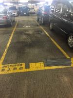  Hung Hom Carpark  Tak On Street  Whampoa Garden Site 3   parking space photo 香港車位.com ParkingHK.com