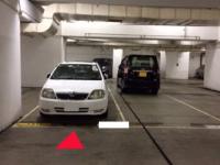  Tseung Kwan O Carpark  Pui Shing Road  Residence Oasis  parking space photo 香港車位.com ParkingHK.com
