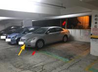  Tai Wai Carpark  Kak Tin Street  Golden Lion Garden Phase 2  parking space photo 香港車位.com ParkingHK.com