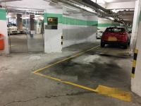  Sha Tin Carpark  On King Street  Pictorial Garden Phase 1  parking space photo 香港車位.com ParkingHK.com