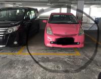  Sha Tin Carpark  Tai Chung Kiu Road  Garden Rivera  parking space photo 香港車位.com ParkingHK.com
