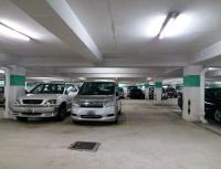  Sha Tin Carpark  On King Street  Pictorial Garden Phase 1  parking space photo 香港車位.com ParkingHK.com