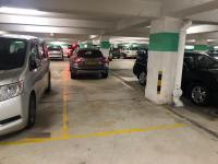  Sha Tin Carpark  On King Street  Pictorial Garden Phase 1  parking space photo 香港車位.com ParkingHK.com