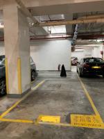  Tsuen Wan Carpark  Tsuen King Circuit  Tsuen King Garden Phase 2  parking space photo 香港車位.com ParkingHK.com