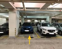  Yuen Long Carpark  Fung Cheung Road  Villa Premiere  parking space photo 香港車位.com ParkingHK.com