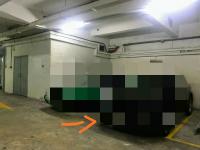  Sha Tin Carpark  Tai Chung Kiu Road  Garden Rivera  parking space photo 香港車位.com ParkingHK.com