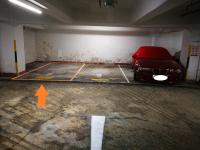 Sha Tin Carpark  Tai Chung Kiu Road  Belair Gardens  parking space photo 香港車位.com ParkingHK.com