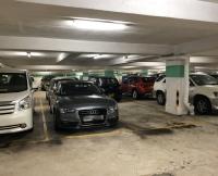  Sha Tin Carpark  On King Street  Pictorial Garden Stage 1  parking space photo 香港車位.com ParkingHK.com