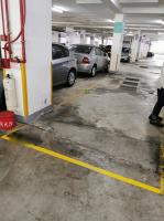  Sha Tin Carpark  On King Street  Ravana Garden  parking space photo 香港車位.com ParkingHK.com