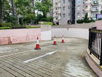  Tai Po Carpark  Tai Po Tau Road  Serenity Park  parking space photo 香港車位.com ParkingHK.com