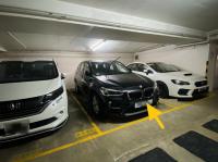  Tai Po Carpark  Tai Po Tau Road  Serenity Park  parking space photo 香港車位.com ParkingHK.com