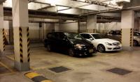  Yuen Long Carpark  Fung Kam Street  Greenfields  parking space photo 香港車位.com ParkingHK.com