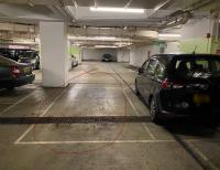  Tseung Kwan O Carpark  Pui Shing Road  Residence Oasis  parking space photo 香港車位.com ParkingHK.com