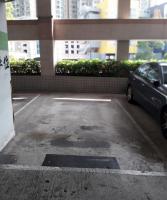  Sham Cheng Carpark  Castle Peak Road  Sham Tseng  Rhine Garden  parking space photo 香港車位.com ParkingHK.com