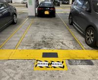  Tsing Lung Tau Carpark  Castle Peak Road Tsing Lung Tau  Hong Kong Garden  parking space photo 香港車位.com ParkingHK.com