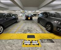  Tsing Lung Tau Carpark  Castle Peak Road Tsing Lung Tau  Hong Kong Garden  parking space photo 香港車位.com ParkingHK.com