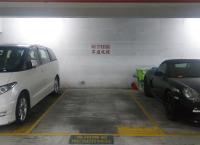  Tsing Lung Tau Carpark  Castle Peak Road Tsing Lung Tau  Hong Kong Garden  parking space photo 香港車位.com ParkingHK.com