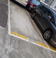  Tuen Mun Carpark  Tsing Hoi Circuit  Chi Lok Fa Yuen  parking space photo 香港車位.com ParkingHK.com