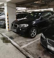  Tin Shui Wai Carpark  Tin Lung Road  Kingswood Villas Maywood Court  parking space photo 香港車位.com ParkingHK.com