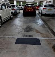  Tin Shui Wai Carpark  Tin Lung Road  Kingswood Villas Maywood Court  parking space photo 香港車位.com ParkingHK.com