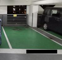  Fanling Carpark  Wah Ming Road  Yan Shing Court  parking space photo 香港車位.com ParkingHK.com