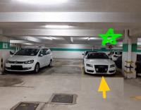  Sha Tin Carpark  On King Street  Pictorial Garden Stage 1  parking space photo 香港車位.com ParkingHK.com