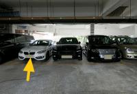  Sha Tin Carpark  Tai Chung Kiu Road  Garden Rivera  parking space photo 香港車位.com ParkingHK.com