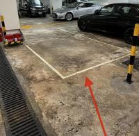  Tai Po Carpark  Chui Lok Street  La Fontaine  parking space photo 香港車位.com ParkingHK.com