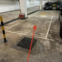  Tai Po Carpark  Chui Lok Street  La Fontaine  parking space photo 香港車位.com ParkingHK.com