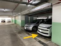  Sha Tin Carpark  Ngan Shing Street  Fortune City One Plus  parking space photo 香港車位.com ParkingHK.com