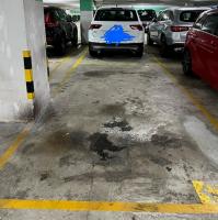  Sha Tin Carpark  On King Street  Pictorial Garden Phase 1  parking space photo 香港車位.com ParkingHK.com