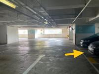  Tseung Kwan O Carpark  Pui Shing Road  Nan Fung Plaza  parking space photo 香港車位.com ParkingHK.com