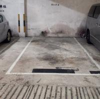  Sha Tin Carpark  Kong Pui Street  Shatin Park Phase 2  parking space photo 香港車位.com ParkingHK.com