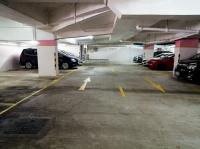  Tai Po Carpark  Tai Po Tau Road  Serenity Park  parking space photo 香港車位.com ParkingHK.com