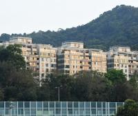  Tai Po Carpark  Shan Yin Road  The Paragon  parking space photo 香港車位.com ParkingHK.com