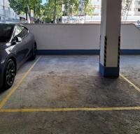  Tai Po Carpark  On Chee Road  Treasure Garden  parking space photo 香港車位.com ParkingHK.com