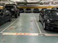  Ma On Shan Carpark  Sai Sha Road  Villa Athena  parking space photo 香港車位.com ParkingHK.com