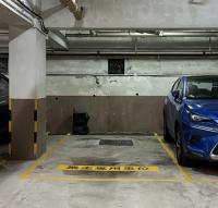  筆架山車位 大埔道 爾登豪庭 車位 圖片 香港車位.com ParkingHK.com