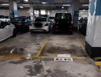  Sha Tin Carpark  Wang Pok Street  Shatin Centre  parking space photo 香港車位.com ParkingHK.com