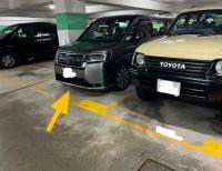  Sha Tin Carpark  On King Street  Pictorial Garden Stage 1  parking space photo 香港車位.com ParkingHK.com