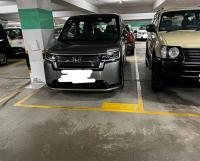 Sha Tin Carpark  On King Street  Pictorial Garden Stage 1  parking space photo 香港車位.com ParkingHK.com