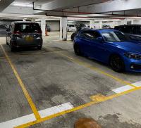  Fanling Carpark  Kat Cheung Crescent  Vienna Gardens  parking space photo 香港車位.com ParkingHK.com
