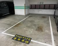  Sheung Wan Carpark  Wing Lok Street  Cosco Tower  parking space photo 香港車位.com ParkingHK.com