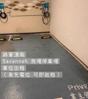  Tseung Kwan O Carpark  Chi Shin Street  Savannah  parking space photo 香港車位.com ParkingHK.com