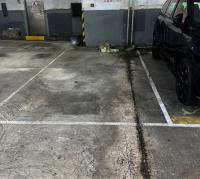  Fo Tan Carpark  Lok King Street  Jubilee Garden  parking space photo 香港車位.com ParkingHK.com